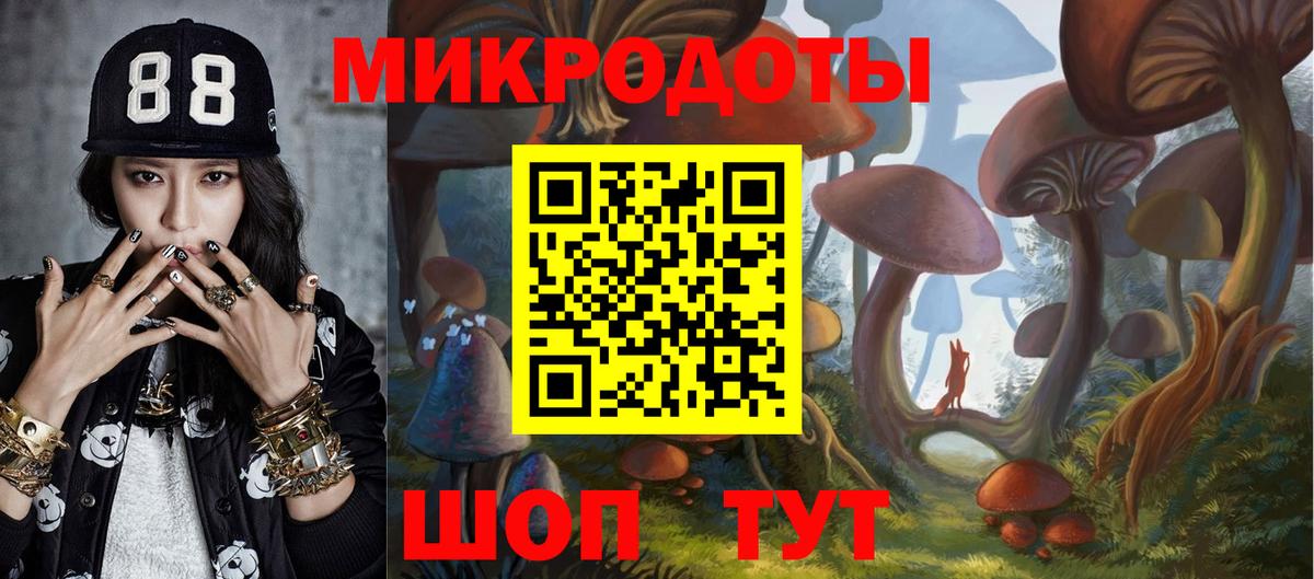 Калач-на-Дону  Галлюциногенные грибы Cubensis  Вход с VPN 