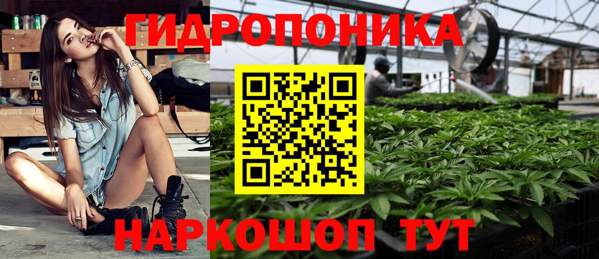 Каннабис планчик Калач-на-Дону